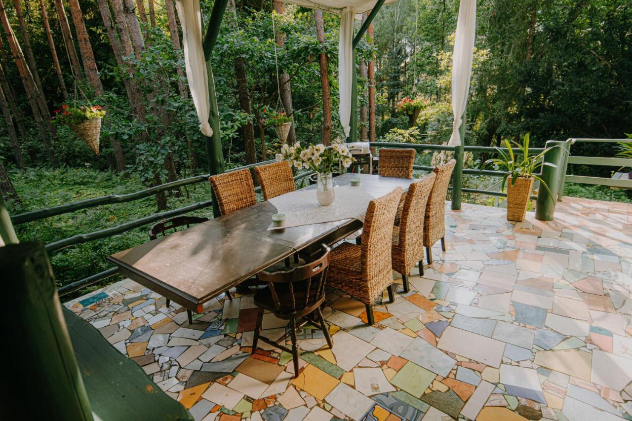 Zacisze Lesne Nad Pilica Bed & Breakfast Spala Bagian luar foto